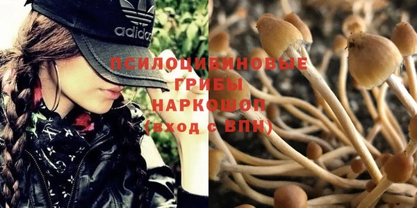 MESCALINE Баксан