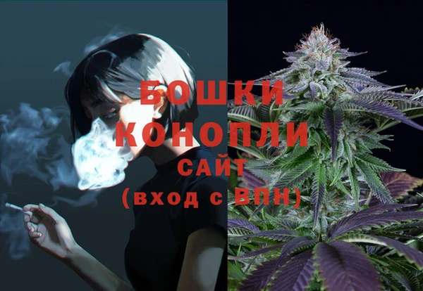твердый Балахна
