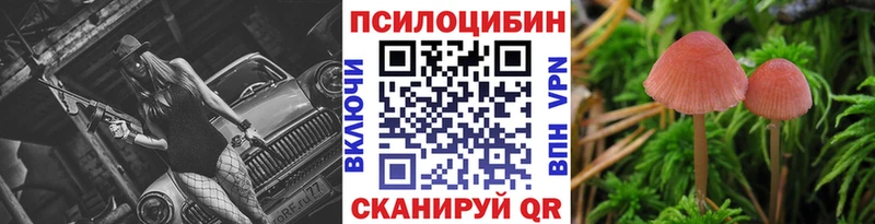 omg зеркало  Ленск  Псилоцибиновые грибы MAGIC MUSHROOMS 